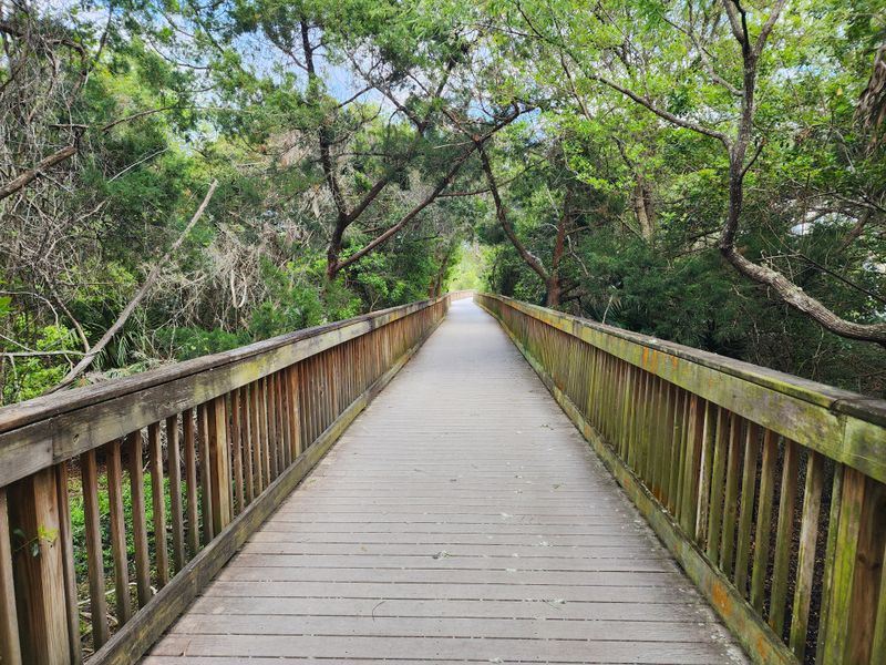 Tranquil Boardwalks At Lighthouse Park
