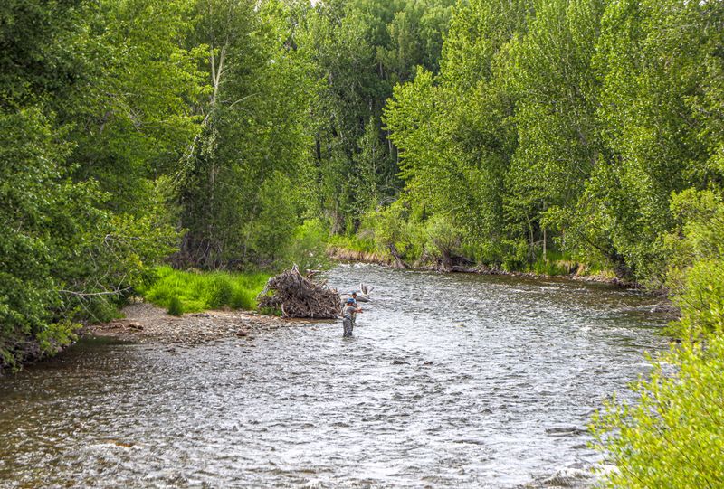 A River Corridor That Adds Winter Stillness