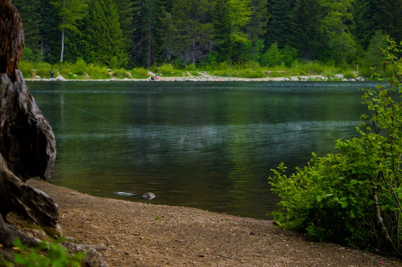 Photo Spots That Make Winter Look Effortless