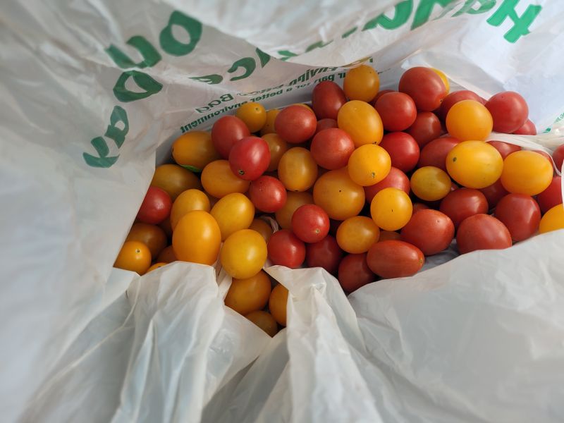 Roadside Produce Stands Overflowing with Fresh Harvest