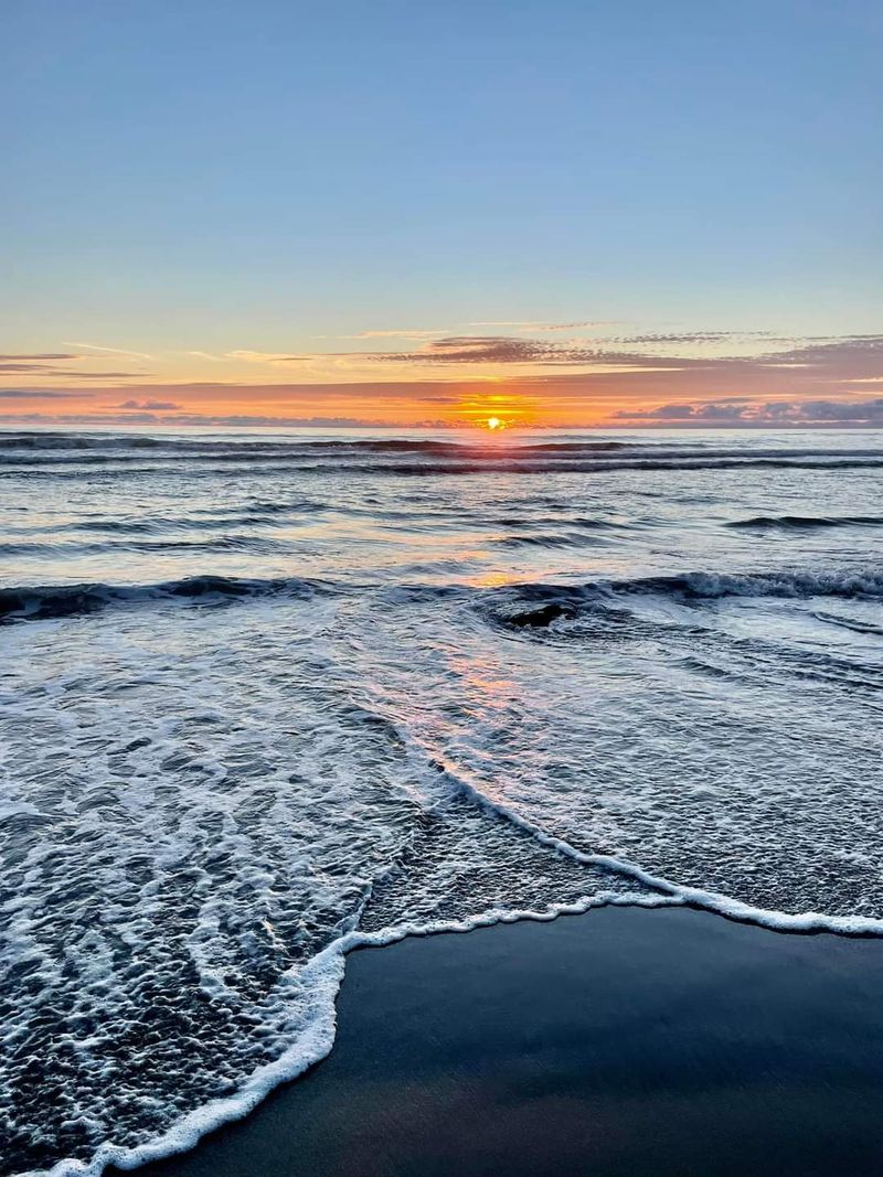 Gardens and the Old Log Church