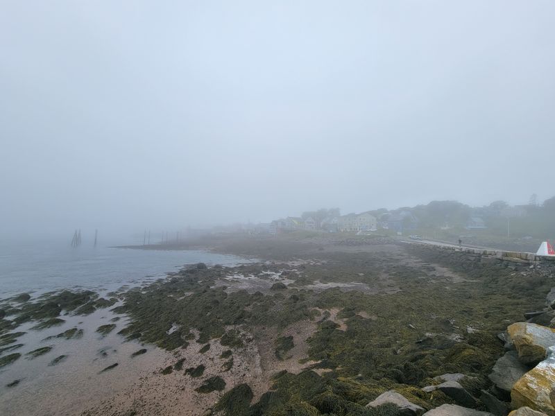 Ninety Seven Miles of Shoreline, Many Small Discoveries