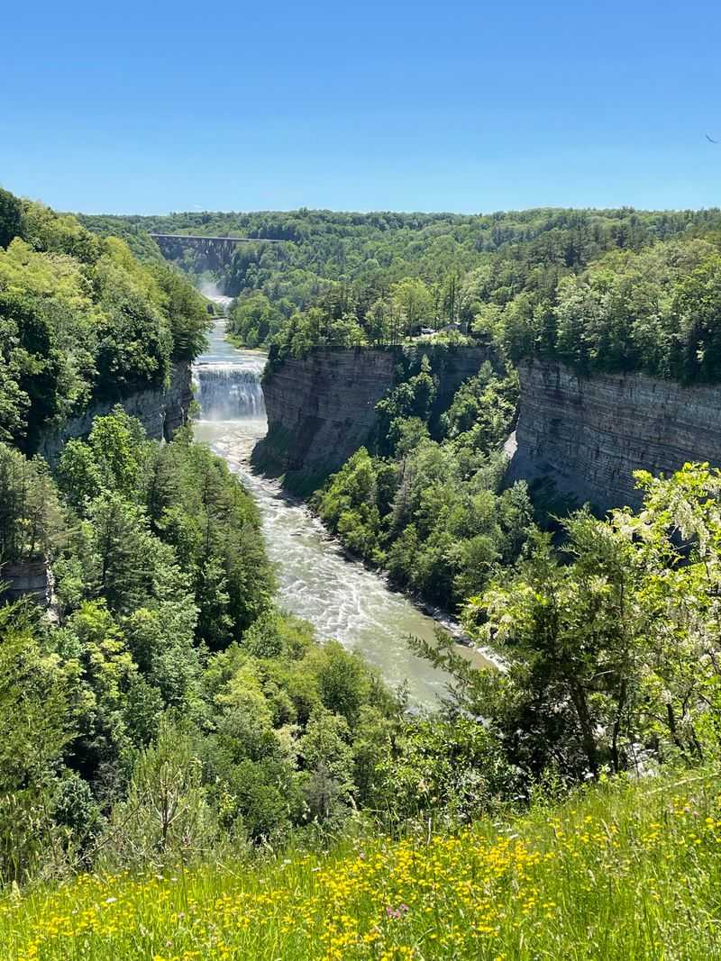 Picnic Spots and Easy Leisure