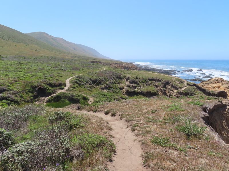 Harmony Headlands State Park, Cayucos Area