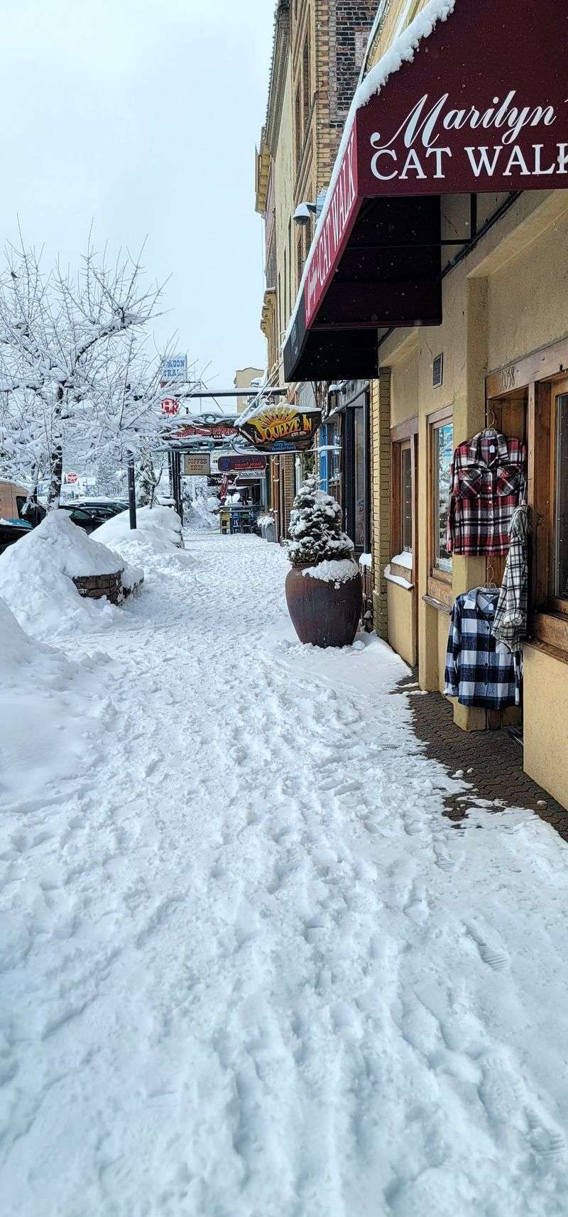 Streets That Stay Busy in All Conditions