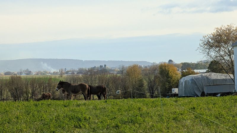 Susquehannock State Park Offers Timeless River Views