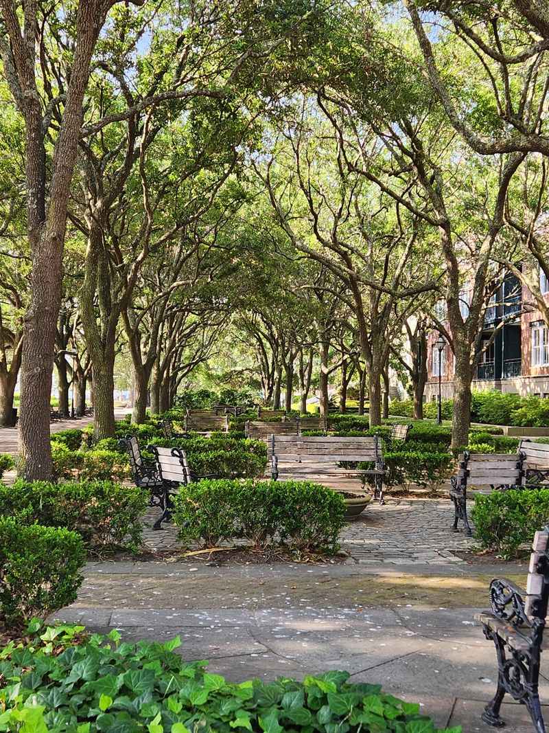 Waterfront Park Benches And Breezes