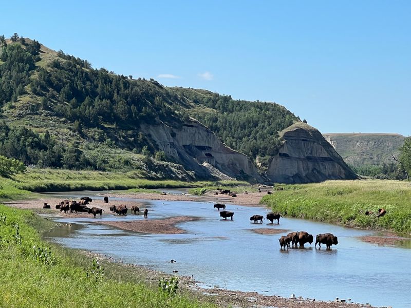 The flavor starts with the land, statewide prairies