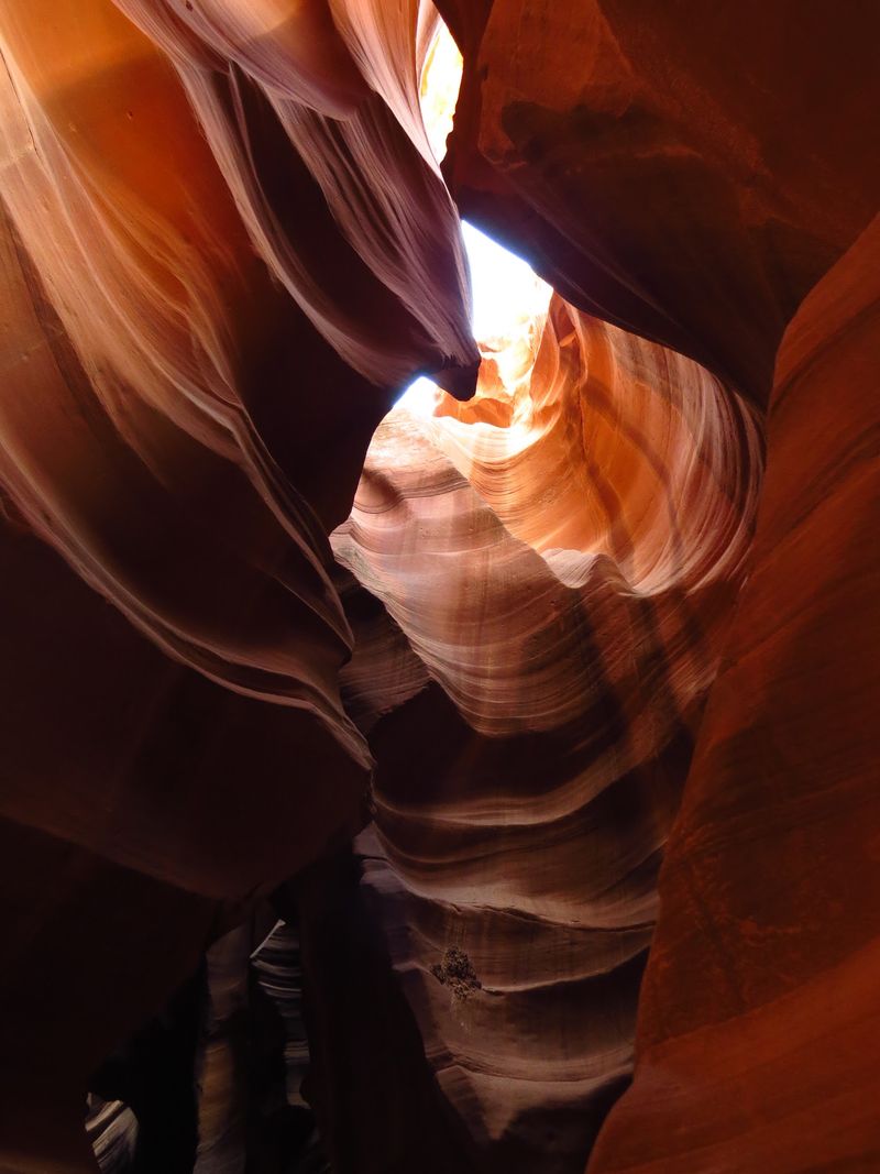 Textures, Curves, and Quiet Details