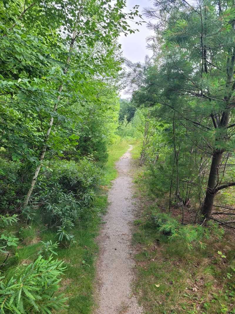 Trail choices that lead to the best quarry viewpoints