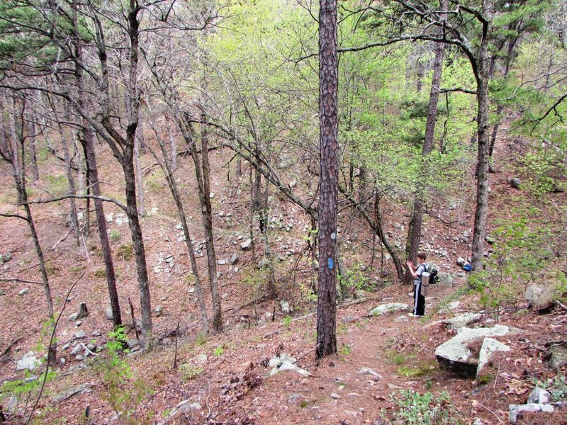 Ouachita National Recreation Trail