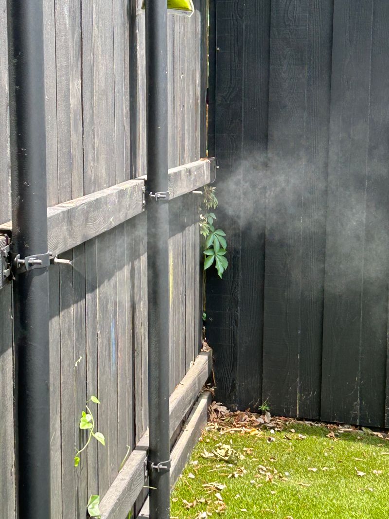 Ignoring Mosquitoes Near Water