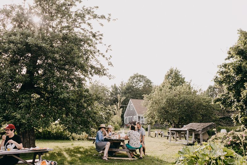 Garden Setting That Transforms Dinner Into an Enchanted Evening Experience