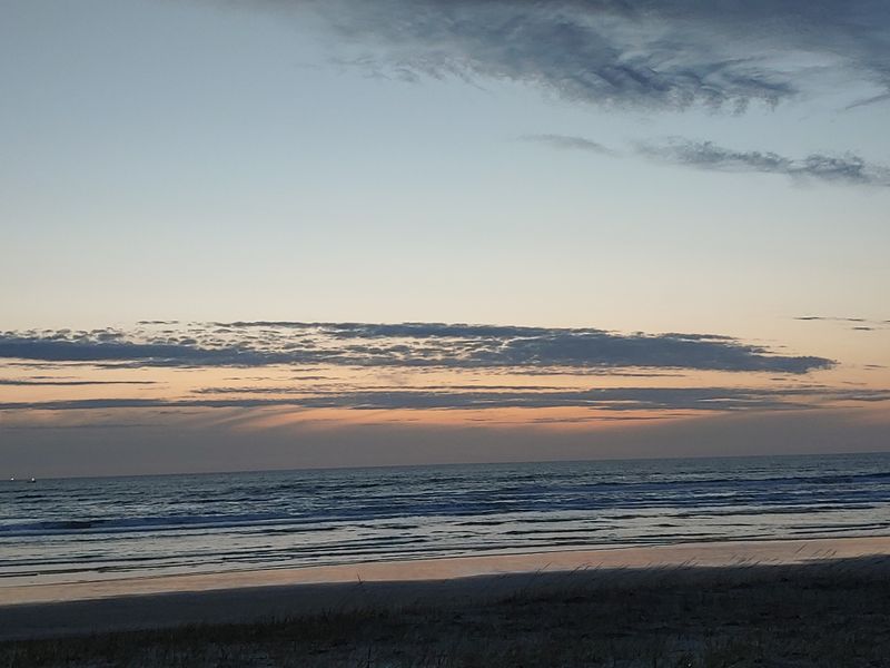 Visit During Off-Peak Times for Better Experiences