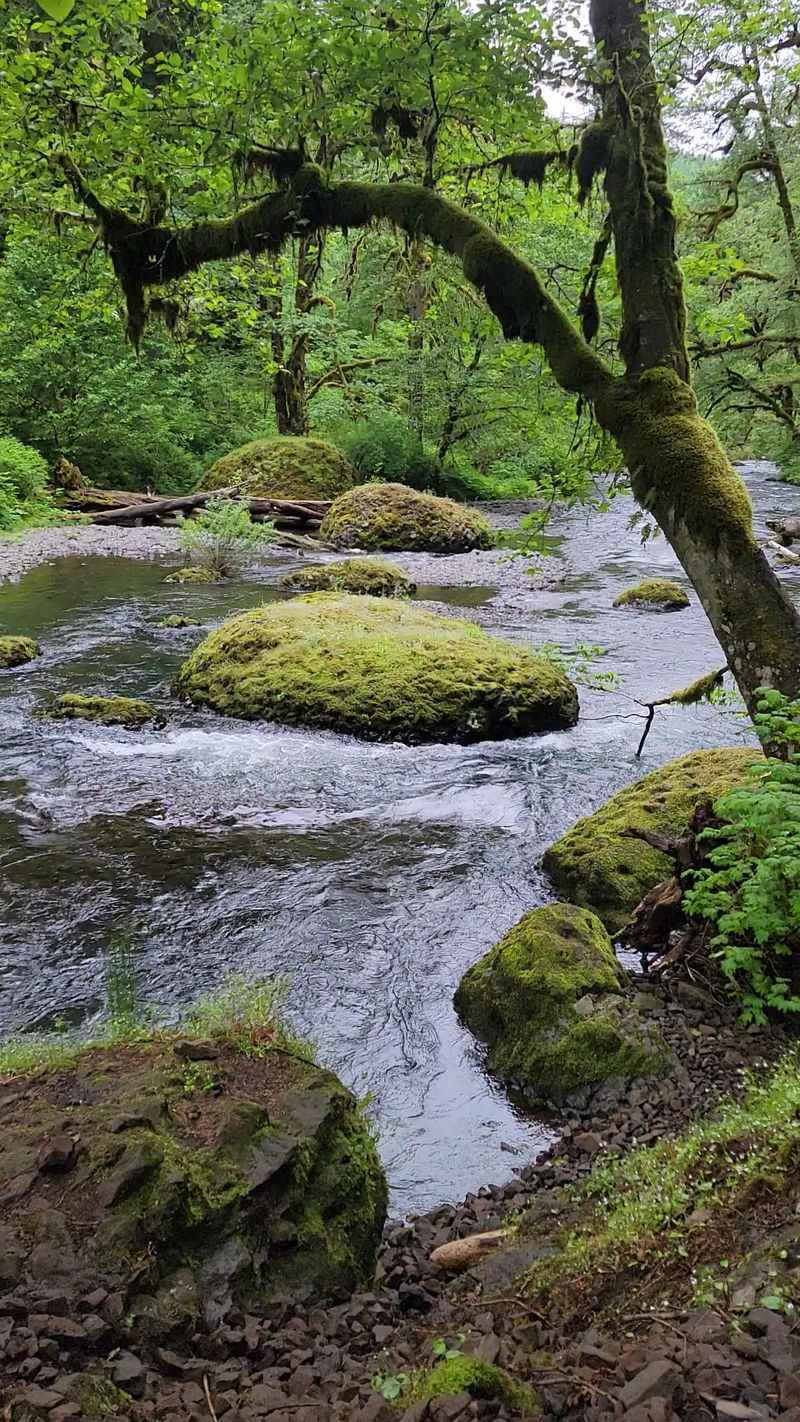 Weather patterns and seasonal realities