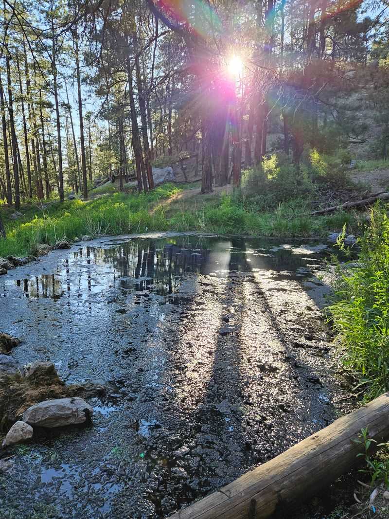 Nearby landmarks that help you navigate