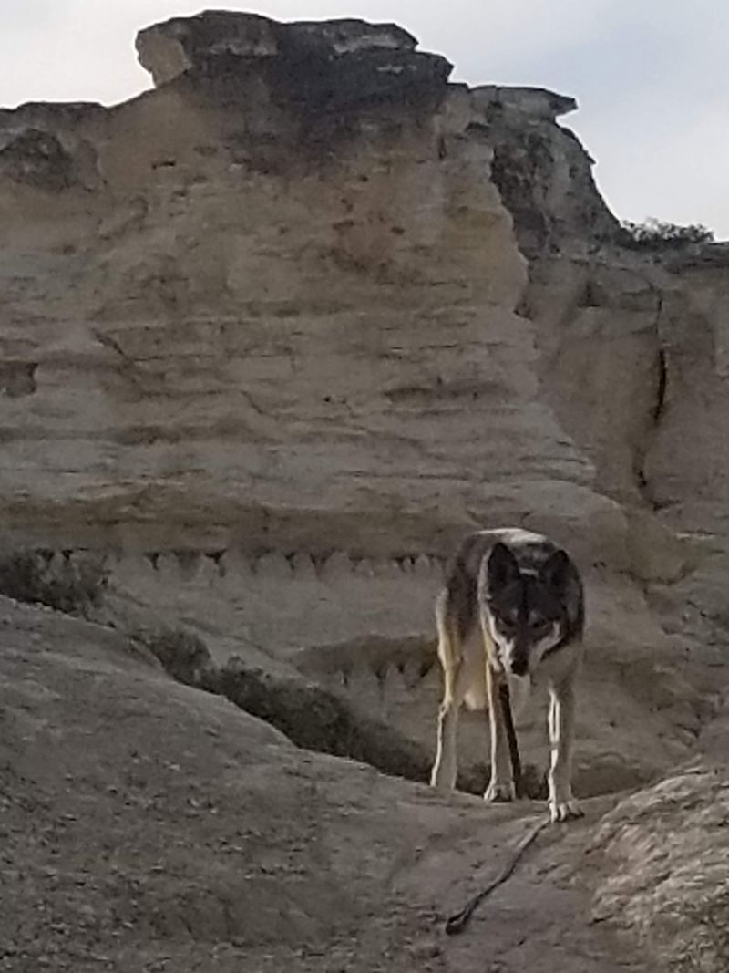 Weather, seasons, and timing