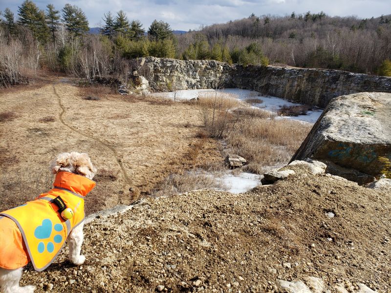 Season by season, how the quarry changes through the year