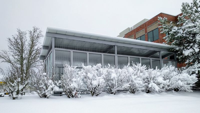 Integration into the 