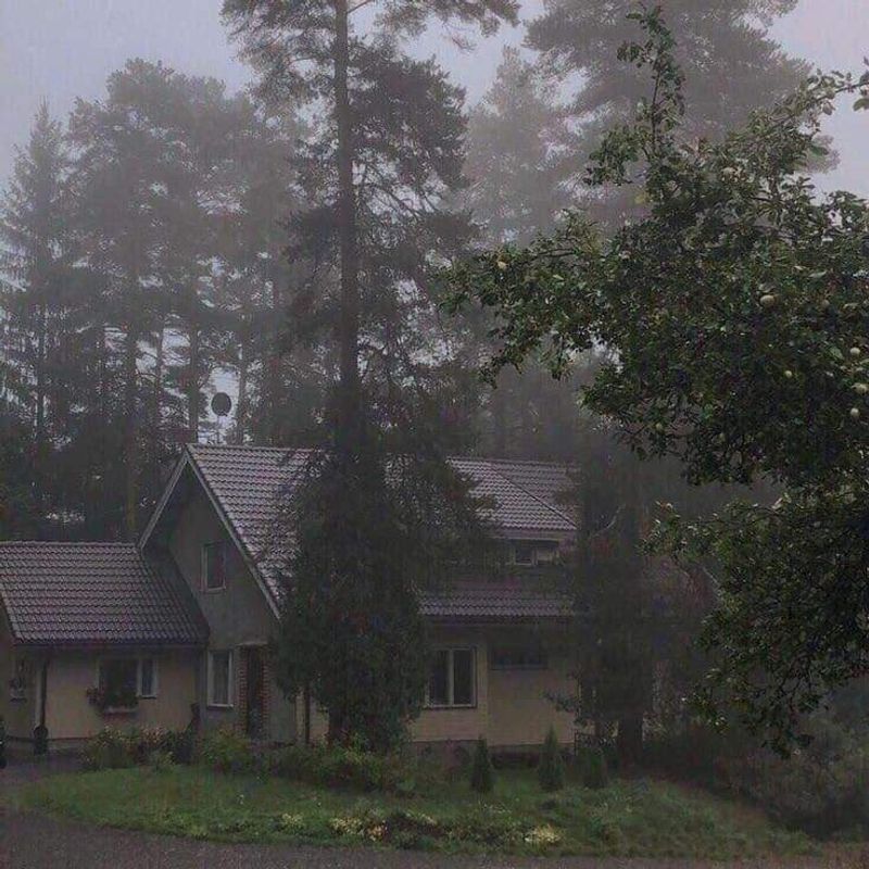 Rain Rules and Cozy Days