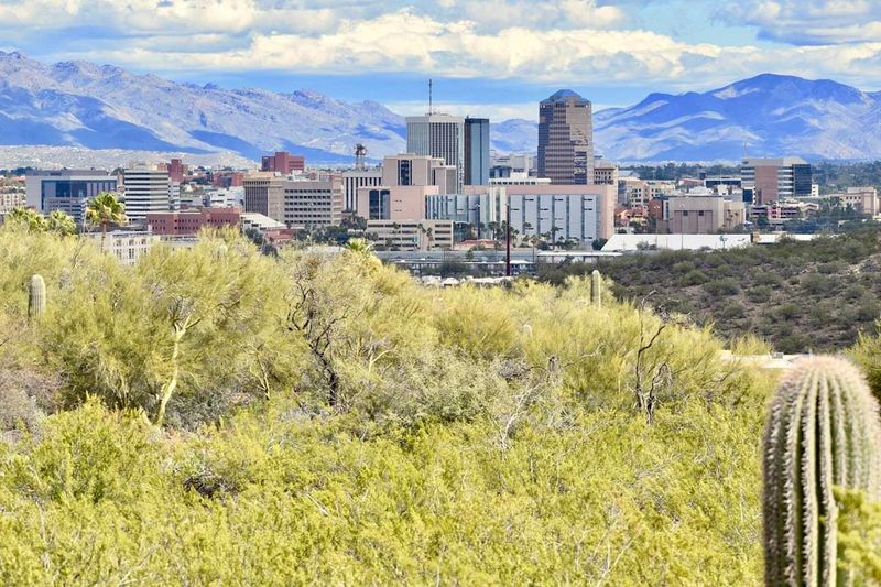 Thriving Food Scene and Culinary Delights