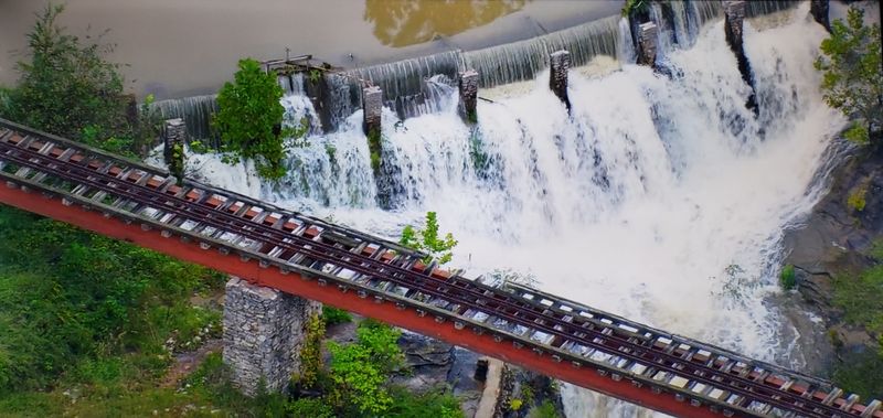 When The Forest Slowly Took The Park Back