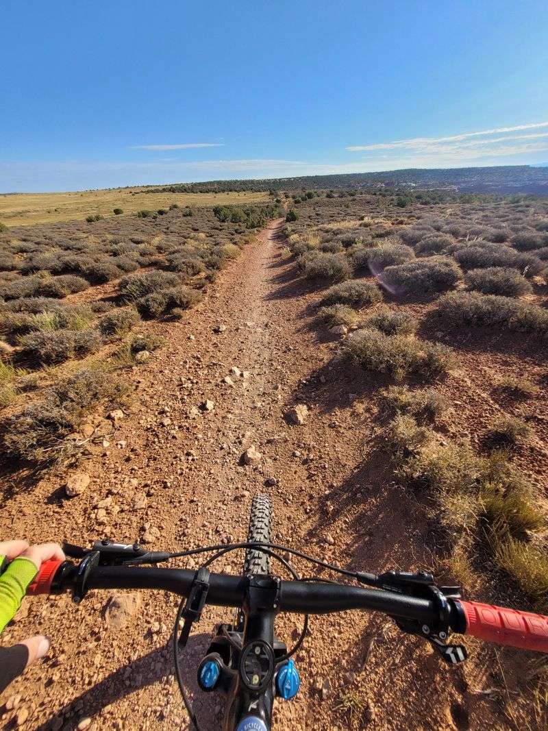 Mountain biking the Intrepid system