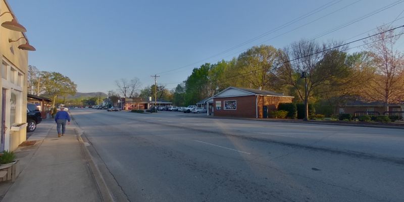 Gentrification Concerns and Community Voice