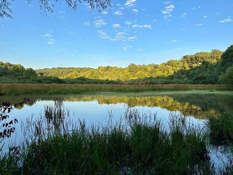 Subsistence Gardens On River Flats