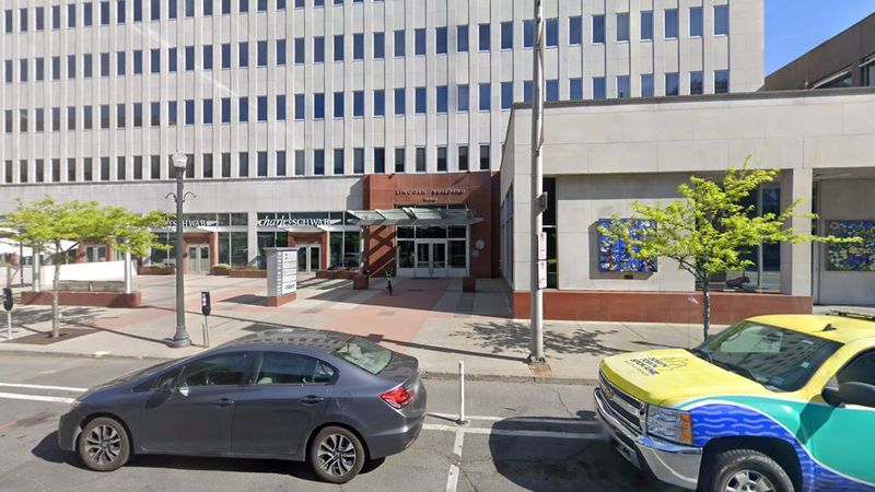 The Towering Evergreen Becomes A Beacon Of Community Spirit