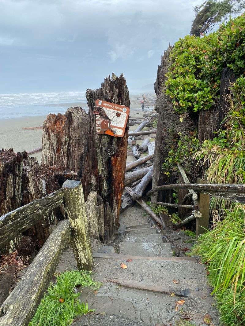 Trail Sampler for Every Pace