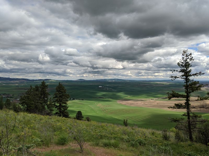 Honoring the Palouse Tribe and Ancestral Lands