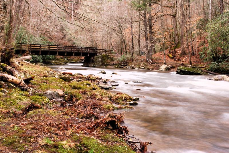 Deep Breaths At Deep Creek In Great Smoky Mountains National Park