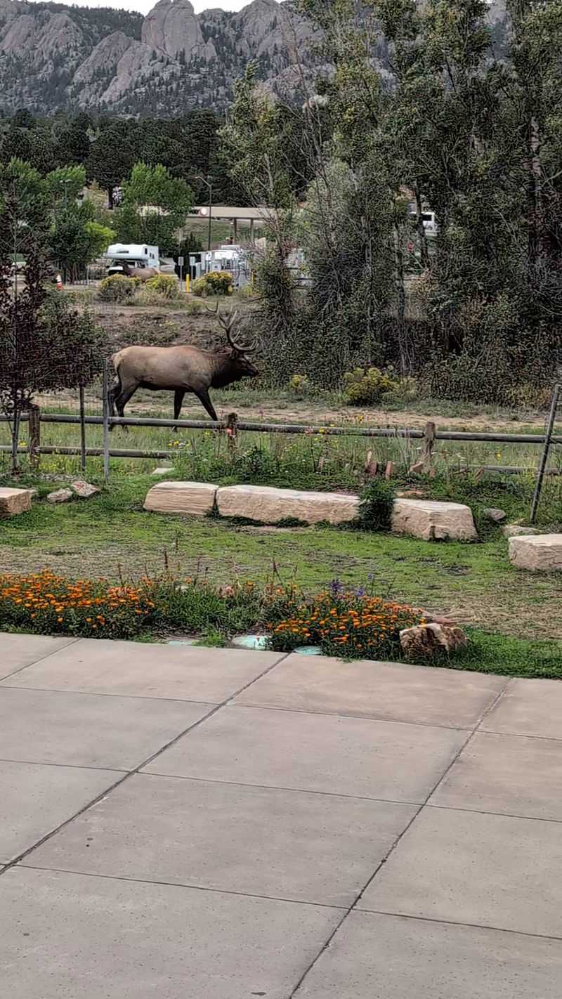 Wildlife watching with respect