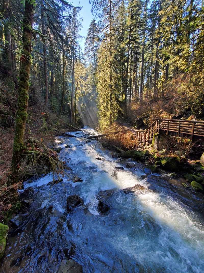 Trails, Waterfalls, and Forest Air