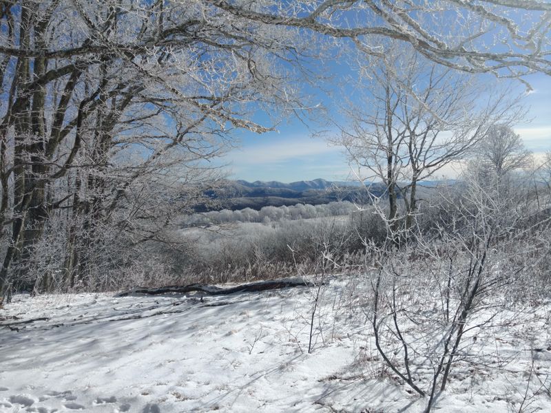 Max Patch Winter Summit