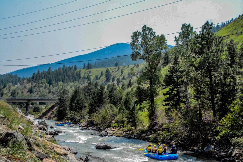 Wildlife Watching and Photography