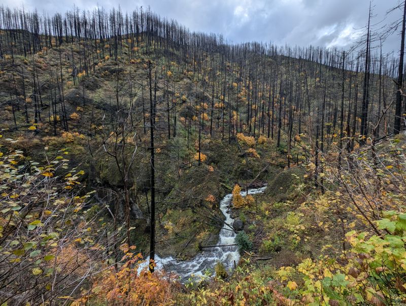 A Place Still Recovering Yet Beautiful After Wildfire