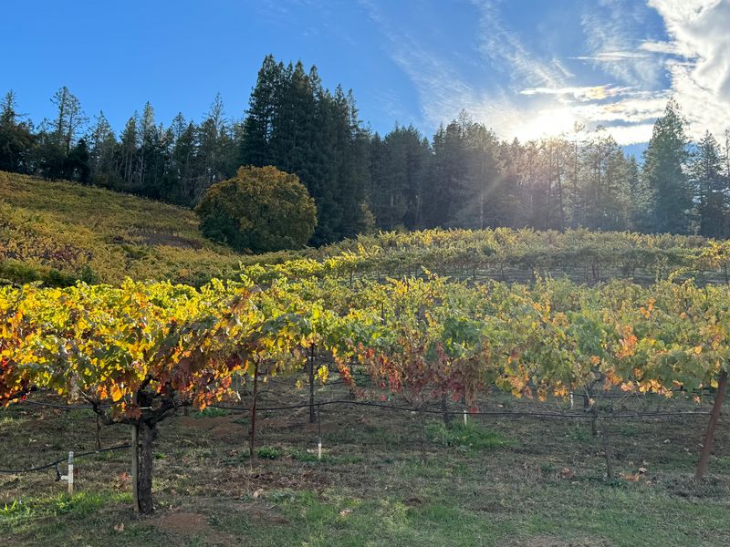 Golden hour strolls through vine lined hills and storybook lanes