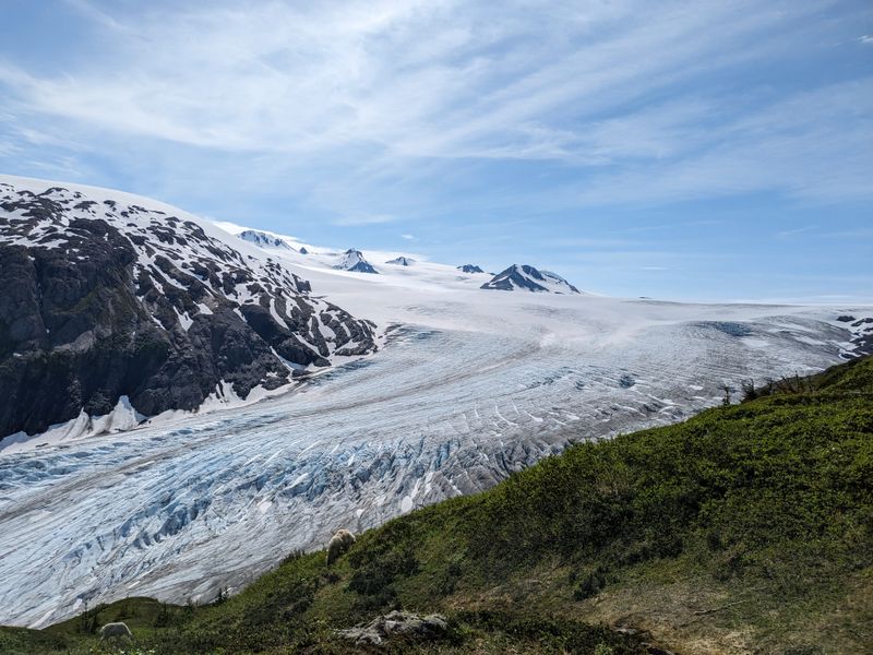 Exit Glacier Trail and Ice Field Access