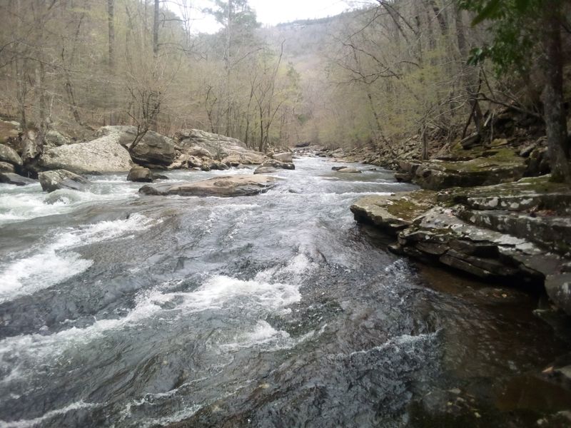 Dayton and the Pocket Wilderness