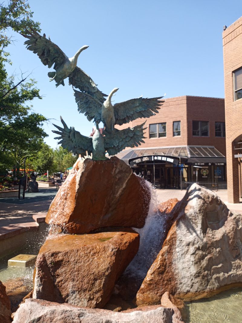 Calm Social Spaces to Gather