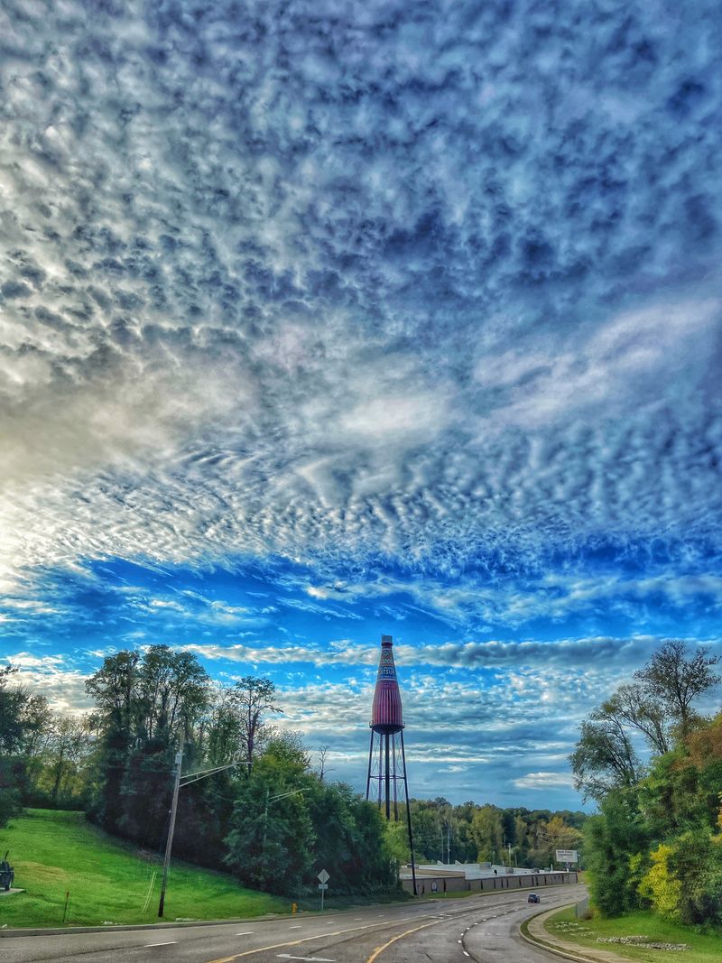 Essential facts at a glance