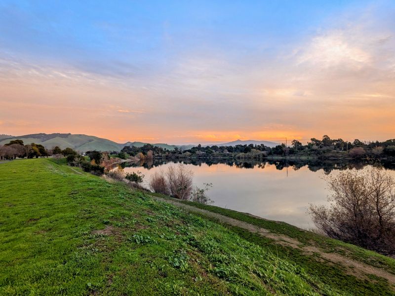 Photo friendly light and viewpoints