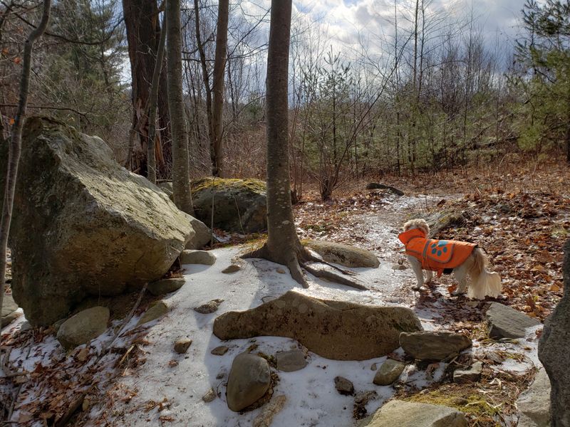 Reading the stone, geology and quarrying history in plain view
