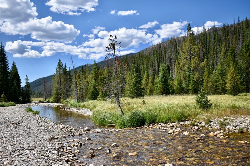 Bastrop: Pineywoods Charm by the Colorado River