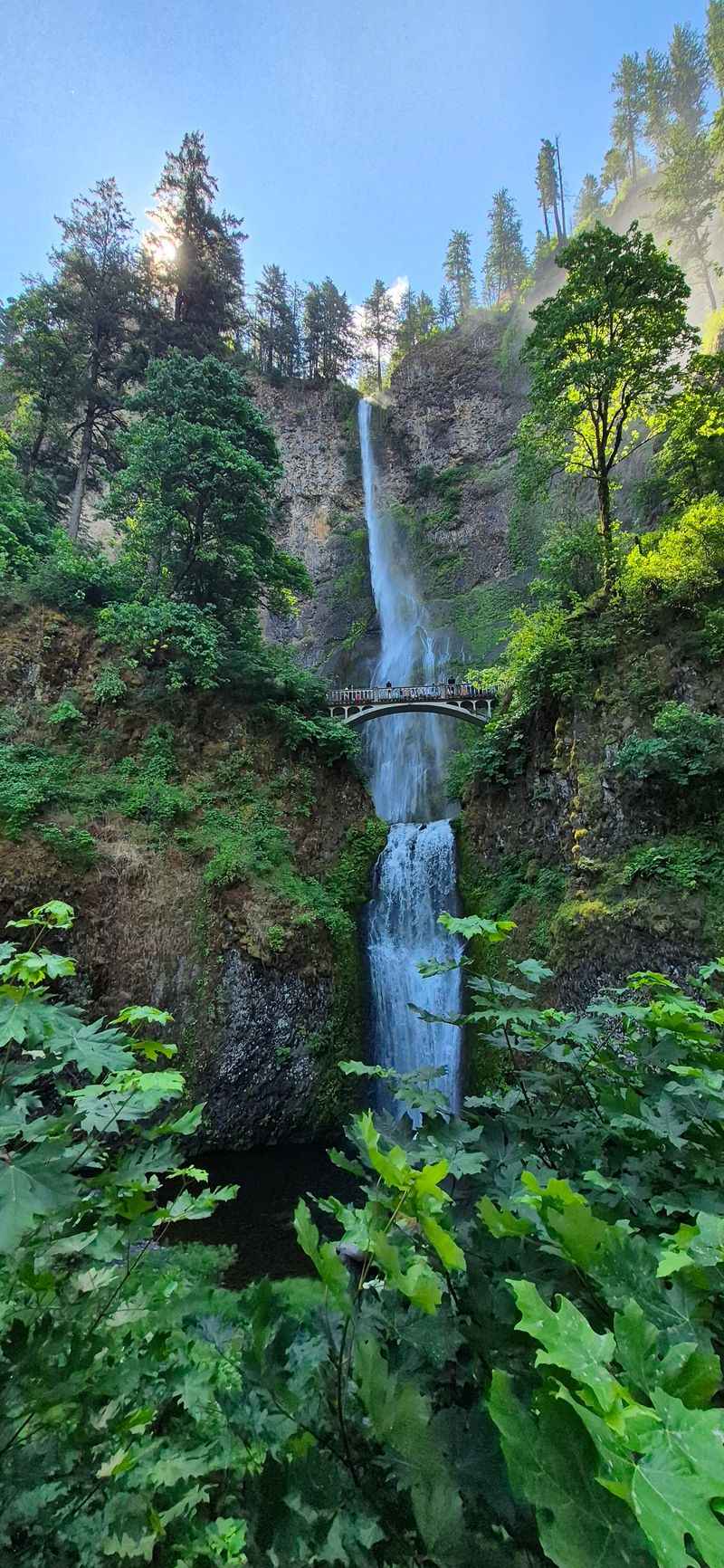 Columbia River Gorge Adventures from Hood River