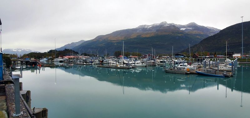 Winter Wonderland Adventures