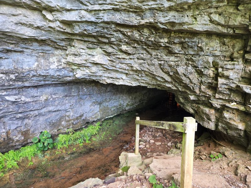 The Bell Witch Cave (Adams)