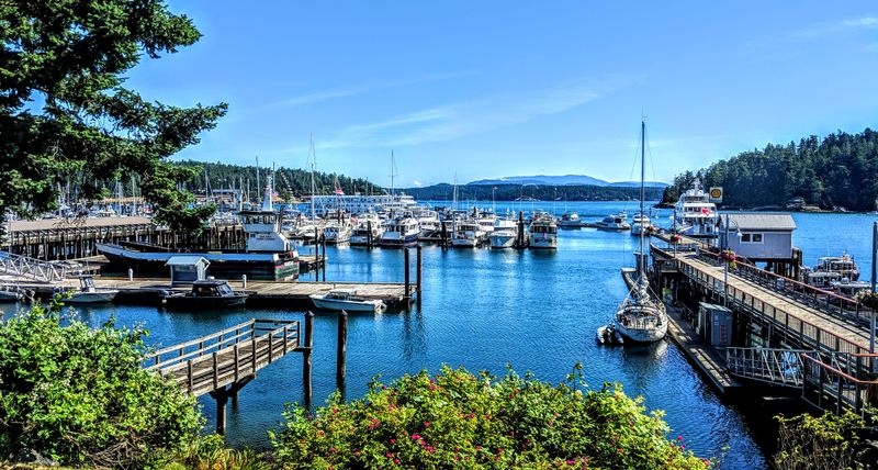 Waterfront Park Breathers